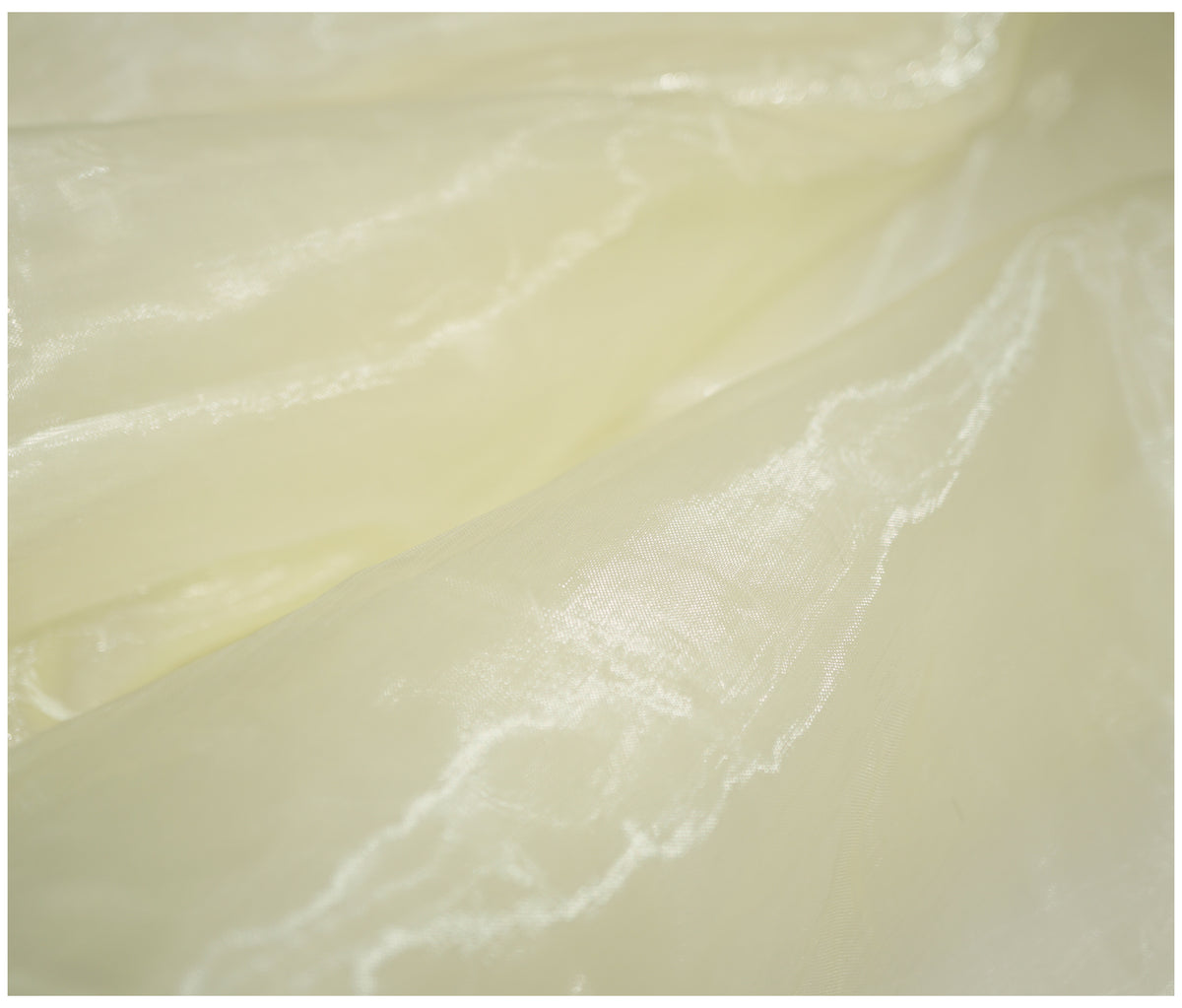 Ivory Organza - The Fabric Trade